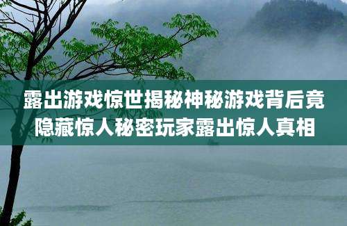 露出游戏惊世揭秘神秘游戏背后竟隐藏惊人秘密玩家露出惊人真相