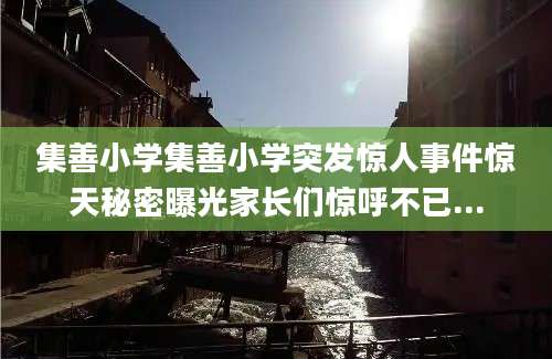 集善小学集善小学突发惊人事件惊天秘密曝光家长们惊呼不已...