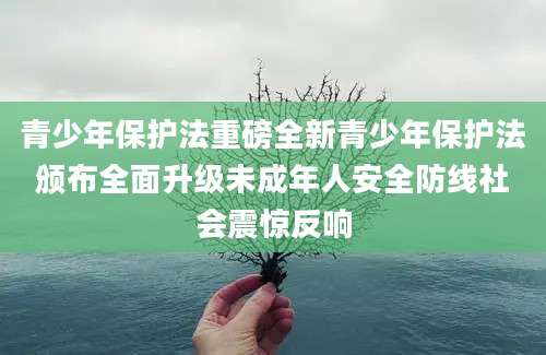 青少年保护法重磅全新青少年保护法颁布全面升级未成年人安全防线社会震惊反响