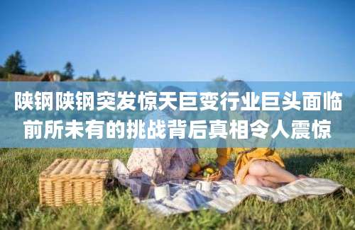陕钢陕钢突发惊天巨变行业巨头面临前所未有的挑战背后真相令人震惊