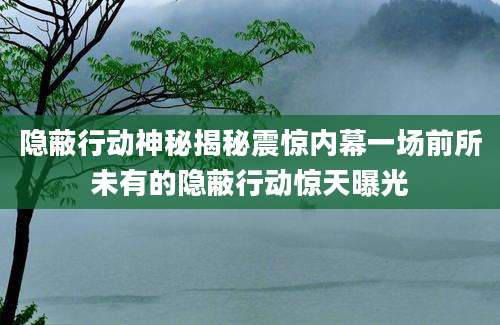 隐蔽行动神秘揭秘震惊内幕一场前所未有的隐蔽行动惊天曝光