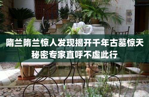 隋兰隋兰惊人发现揭开千年古墓惊天秘密专家直呼不虚此行