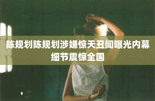 陈规划陈规划涉嫌惊天丑闻曝光内幕细节震惊全国