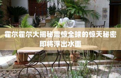 霍尔霍尔大揭秘震惊全球的惊天秘密即将浮出水面