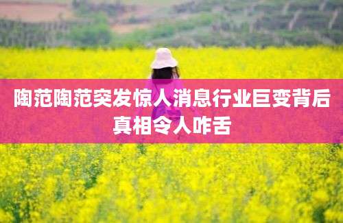 陶范陶范突发惊人消息行业巨变背后真相令人咋舌