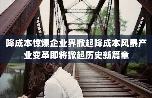 降成本惊爆企业界掀起降成本风暴产业变革即将掀起历史新篇章
