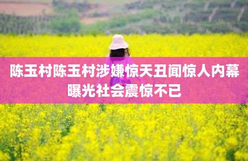 陈玉村陈玉村涉嫌惊天丑闻惊人内幕曝光社会震惊不已