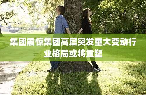 集团震惊集团高层突发重大变动行业格局或将重塑