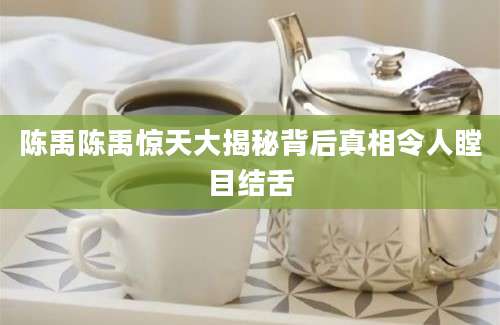陈禹陈禹惊天大揭秘背后真相令人瞠目结舌