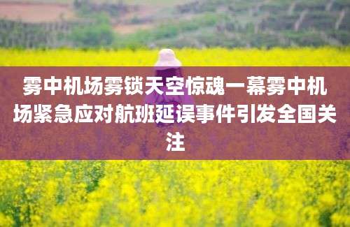 雾中机场雾锁天空惊魂一幕雾中机场紧急应对航班延误事件引发全国关注