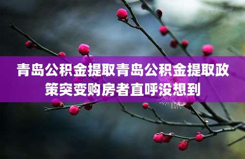 青岛公积金提取青岛公积金提取政策突变购房者直呼没想到