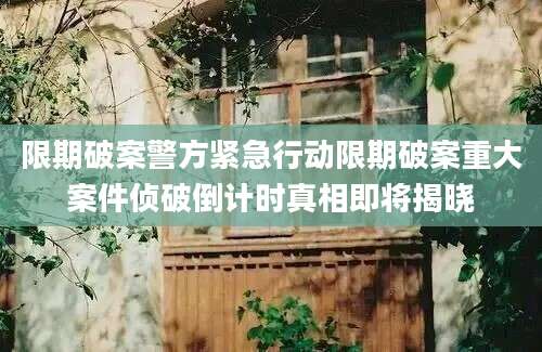 限期破案警方紧急行动限期破案重大案件侦破倒计时真相即将揭晓