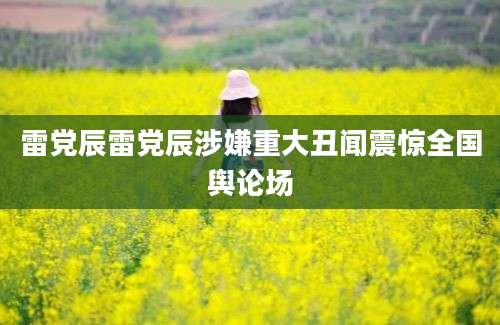雷党辰雷党辰涉嫌重大丑闻震惊全国舆论场