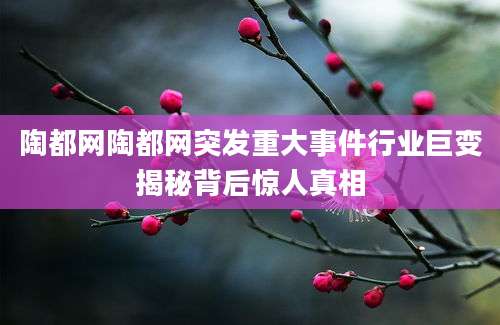 陶都网陶都网突发重大事件行业巨变揭秘背后惊人真相