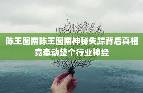 陈王图南陈王图南神秘失踪背后真相竟牵动整个行业神经