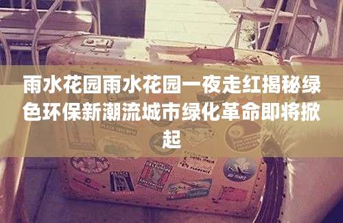 雨水花园雨水花园一夜走红揭秘绿色环保新潮流城市绿化革命即将掀起