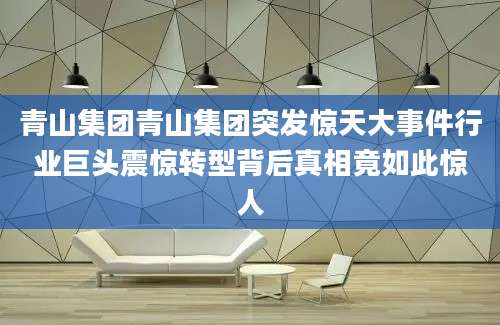 青山集团青山集团突发惊天大事件行业巨头震惊转型背后真相竟如此惊人