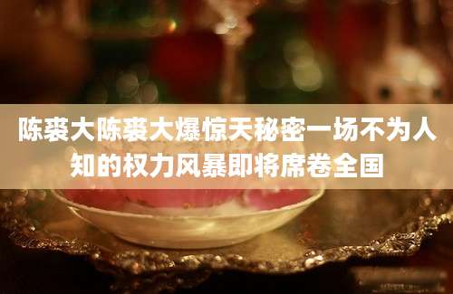 陈裘大陈裘大爆惊天秘密一场不为人知的权力风暴即将席卷全国
