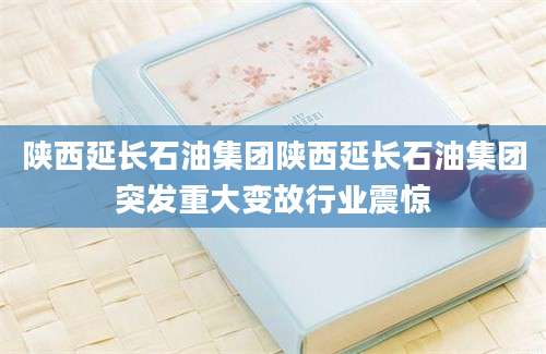 陕西延长石油集团陕西延长石油集团突发重大变故行业震惊