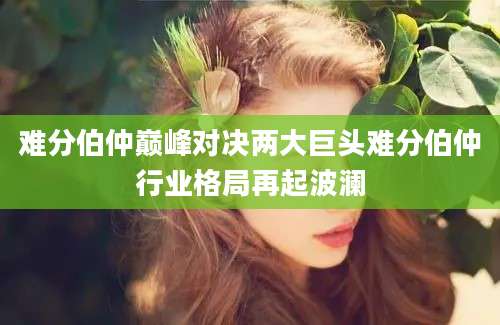 难分伯仲巅峰对决两大巨头难分伯仲行业格局再起波澜