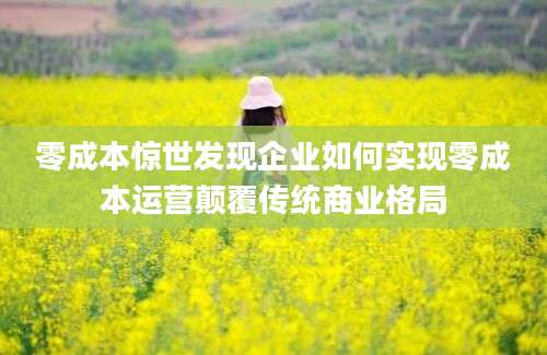 零成本惊世发现企业如何实现零成本运营颠覆传统商业格局