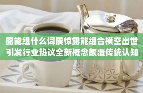 露能组什么词震惊露能组合横空出世引发行业热议全新概念颠覆传统认知