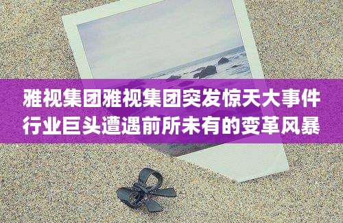 雅视集团雅视集团突发惊天大事件行业巨头遭遇前所未有的变革风暴