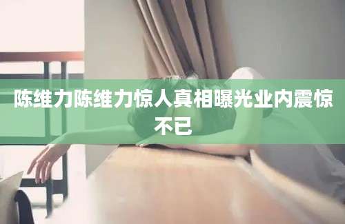 陈维力陈维力惊人真相曝光业内震惊不已