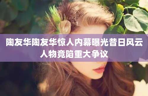 陶友华陶友华惊人内幕曝光昔日风云人物竟陷重大争议