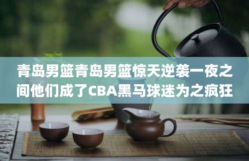 青岛男篮青岛男篮惊天逆袭一夜之间他们成了CBA黑马球迷为之疯狂
