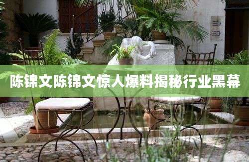 陈锦文陈锦文惊人爆料揭秘行业黑幕