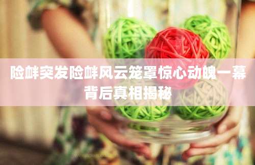 险衅突发险衅风云笼罩惊心动魄一幕背后真相揭秘