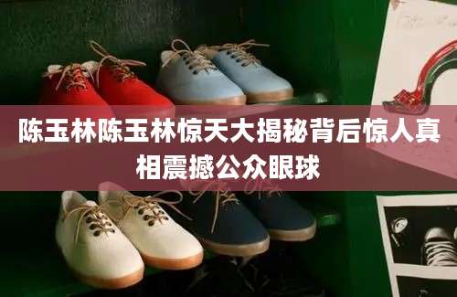 陈玉林陈玉林惊天大揭秘背后惊人真相震撼公众眼球
