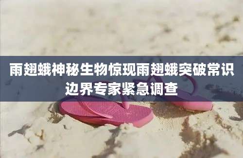 雨翅蛾神秘生物惊现雨翅蛾突破常识边界专家紧急调查