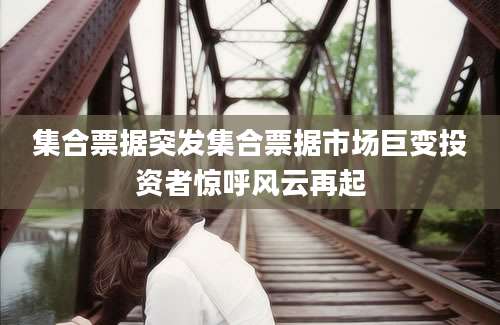 集合票据突发集合票据市场巨变投资者惊呼风云再起