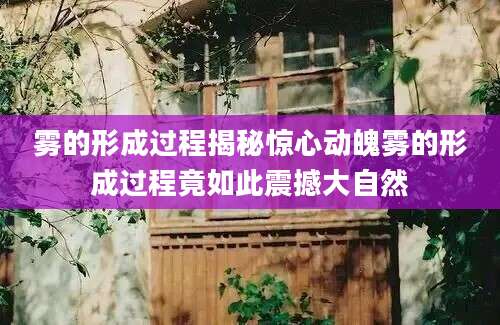 雾的形成过程揭秘惊心动魄雾的形成过程竟如此震撼大自然