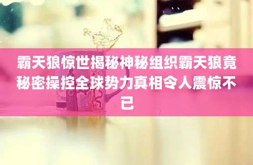 霸天狼惊世揭秘神秘组织霸天狼竟秘密操控全球势力真相令人震惊不已