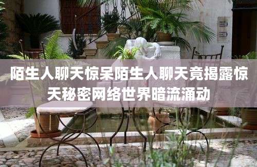 陌生人聊天惊呆陌生人聊天竟揭露惊天秘密网络世界暗流涌动
