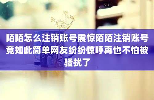 陌陌怎么注销账号震惊陌陌注销账号竟如此简单网友纷纷惊呼再也不怕被骚扰了