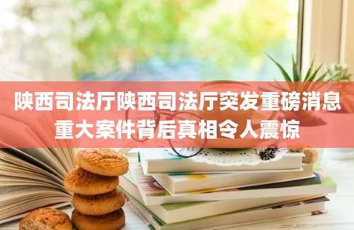 陕西司法厅陕西司法厅突发重磅消息重大案件背后真相令人震惊