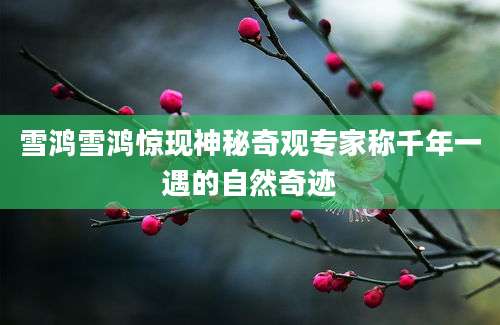 雪鸿雪鸿惊现神秘奇观专家称千年一遇的自然奇迹