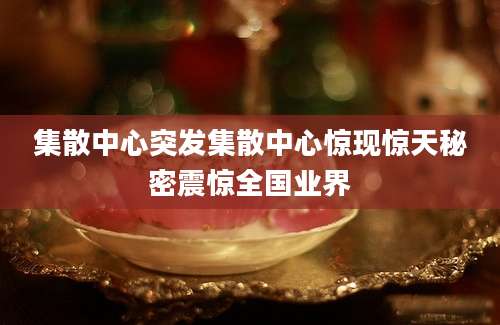 集散中心突发集散中心惊现惊天秘密震惊全国业界