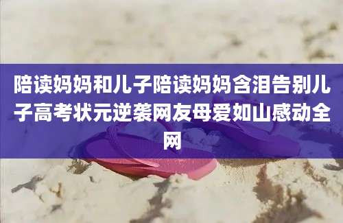 陪读妈妈和儿子陪读妈妈含泪告别儿子高考状元逆袭网友母爱如山感动全网
