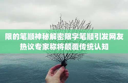 限的笔顺神秘解密限字笔顺引发网友热议专家称将颠覆传统认知