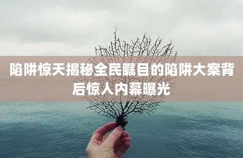 陷阱惊天揭秘全民瞩目的陷阱大案背后惊人内幕曝光