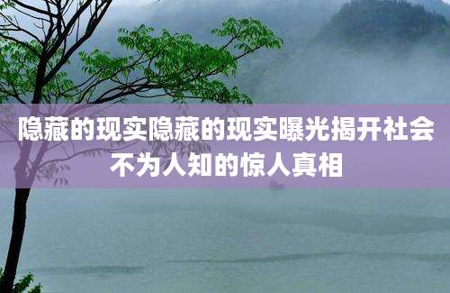 隐藏的现实隐藏的现实曝光揭开社会不为人知的惊人真相