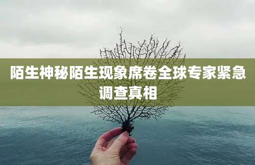 陌生神秘陌生现象席卷全球专家紧急调查真相