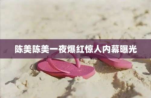 陈美陈美一夜爆红惊人内幕曝光