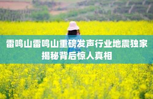 雷鸣山雷鸣山重磅发声行业地震独家揭秘背后惊人真相