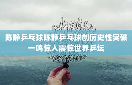 陈静乒乓球陈静乒乓球创历史性突破一鸣惊人震惊世界乒坛